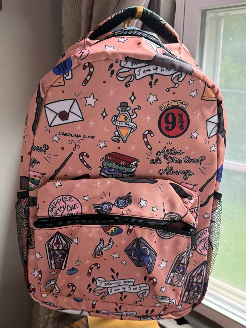 NWOT Harry Potter Illustrated School Backpack